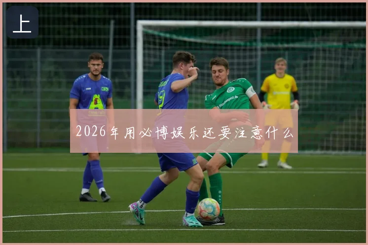 2026年用必博娱乐还要注意什么